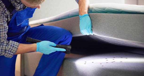 Best Ant Control Services  in Crown Pot, IN