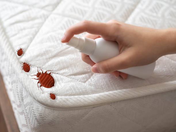 Best Best Pest Control Companies  in Crown Pot, IN