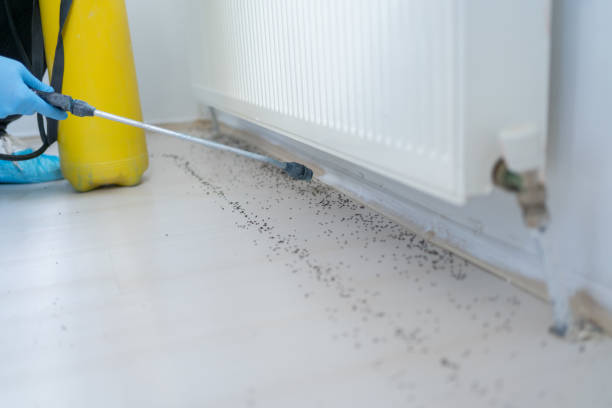 Best Rat Extermination Near Me  in Crown Pot, IN