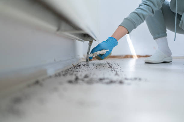Insect Control in Crown Point, IN